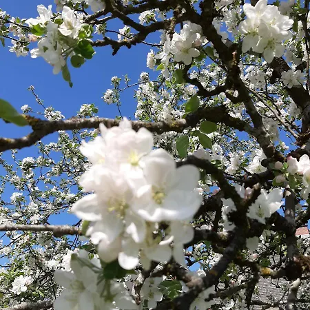 Vakantiehuis Akogelblick