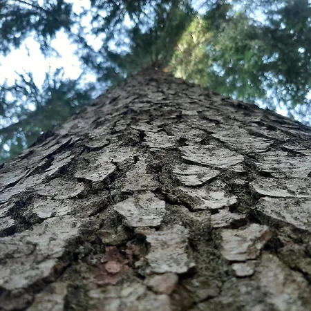 Prázdninový dům Akogelblick *