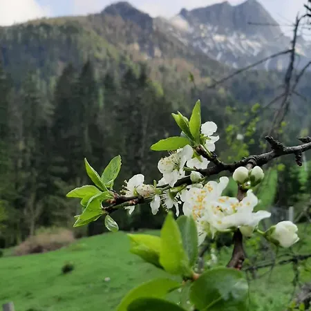 Akogelblick Prázdninový dům Landl (Styria)