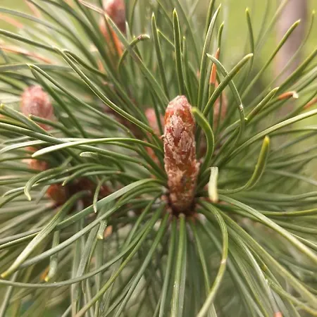 Akogelblick Landl (Styria)