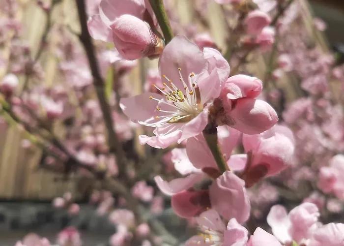 Akogelblick Landl (Styria)