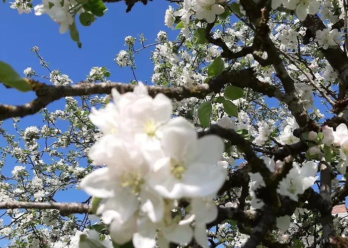 Ferienhaus Akogelblick