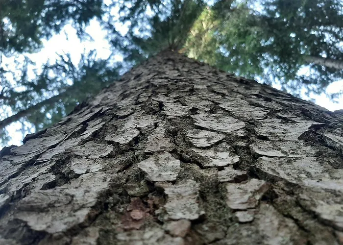Ferienhaus Akogelblick *