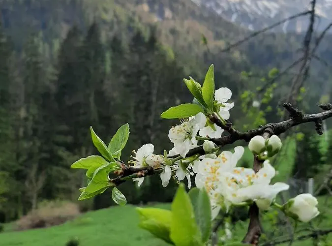 Akogelblick Vakantiehuis Landl (Styria)