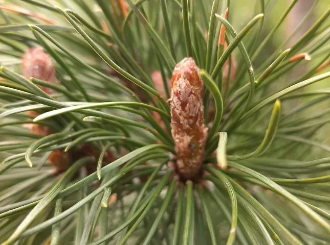 Akogelblick Landl (Styria)