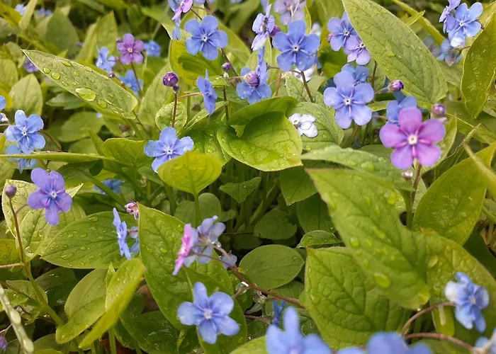 Akogelblick Landl (Styria)